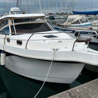 PHAROS T-TOP 80 + 2x150hp HONDA (TUTTO 2011)