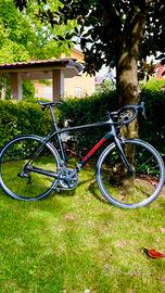 TREK DOMANE 6 SERIES - CARBONIO OCLV 600 -