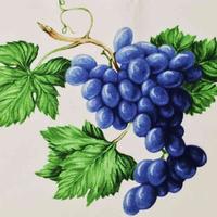 Fantasia Grappoli d'Uva per Tovaglie Tende Arredo