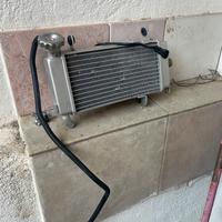 Radiatore Rkf 125 keeway