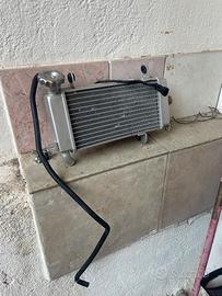 Radiatore Rkf 125 keeway