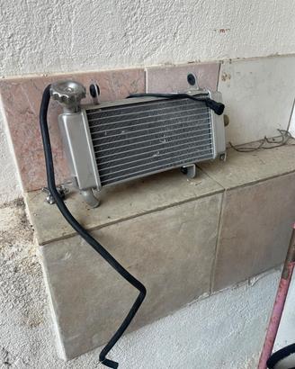 Radiatore Rkf 125 keeway