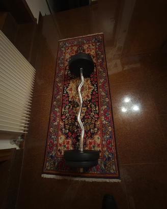 bilanciere palestra  35 kg