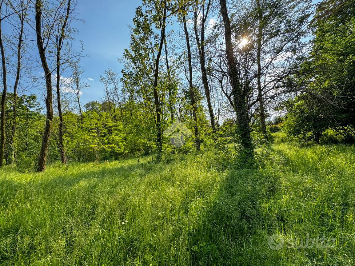TER. AGRICOLO A BARZANÒ - Vista 4