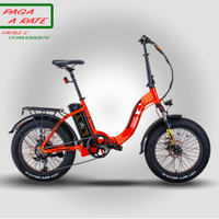 Fat Bike Elettrica Pieghevole 20”