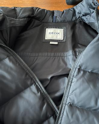 Piumone geox da uomo