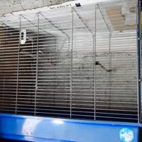 GABBIA per VOLATILI o RODITORI