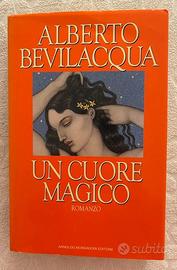 UN CUORE MAGICO Romanzo
