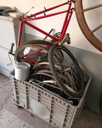 n.3 biciclette