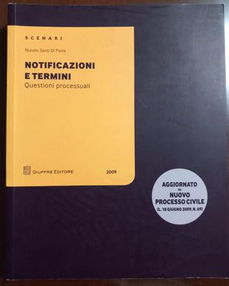 Notificazioni e termini, questioni processuali