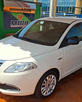 Lancia Ypsilon 1.2 69 CV 5 porte Elefantino
