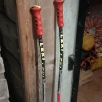 Bastoncini leki cm 105 da GS