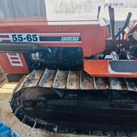 Fiat agri 5565 cingolo con Arco