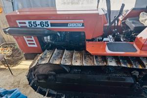 Fiat agri 5565 cingolo con Arco