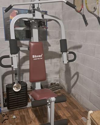Palestra