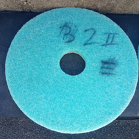 Dischi lucidatura marmo