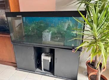 Acquario 450 litri