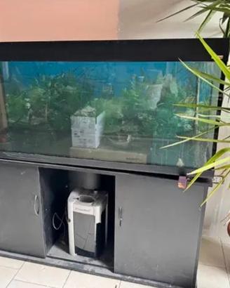 Acquario 450 litri