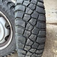 Gomme e cerchi Panda trekking 1100