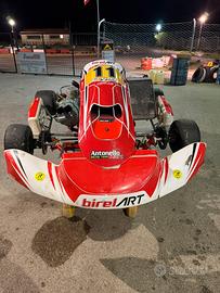 Go kart birel tm