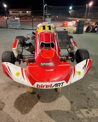 Go kart birel tm