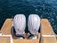 Immagine 13