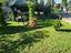 Immagine 21