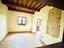 Immagine 7