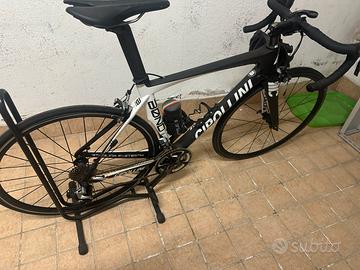 Cipollini bond