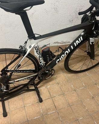 Cipollini bond