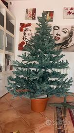 Albero di natale