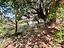 Immagine 14