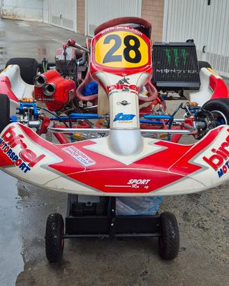 Kart Birel 125