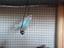 Immagine 1