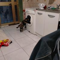 Bilocale indipendente ristrutturato