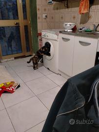 Bilocale indipendente ristrutturato