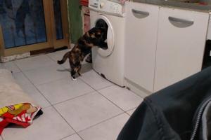 Bilocale indipendente ristrutturato