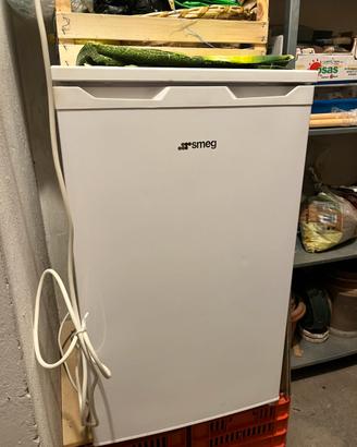 Freezer smeg