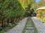Immagine 8