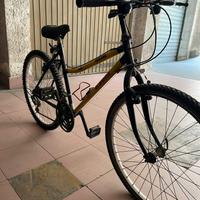 bici da uomo