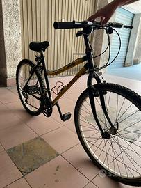 bici da uomo