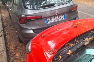 Fiat Tipo Multijet 1.6 Sw