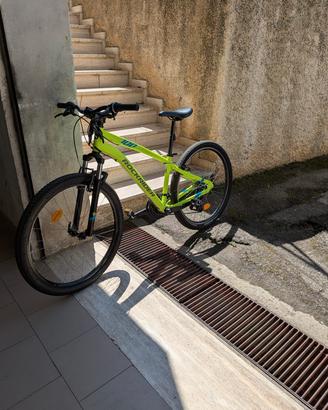 bicicletta montebike 