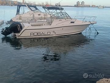 Robalo 2440