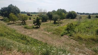 Manzano - Terreno 4.000mq