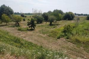 Manzano - Terreno 4.000mq