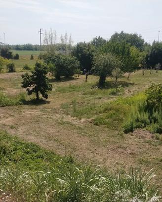Manzano - Terreno 4.000mq