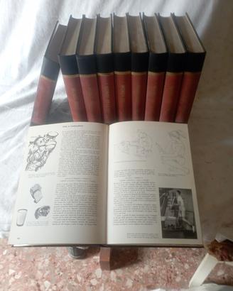 enciclopedia  il mondo dell'uomo 