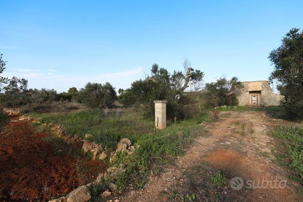 Terreno agricolo con trullo e pozzo zona mare