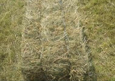 FIENO  PER CONIGLI BALLETTE BIO POLIFITA1/ 2 TAGL.